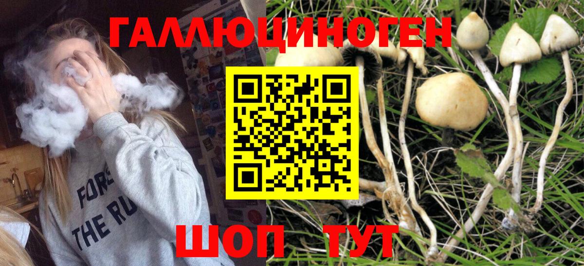 Галлюциногенные грибы ЛСД Заводоуковск