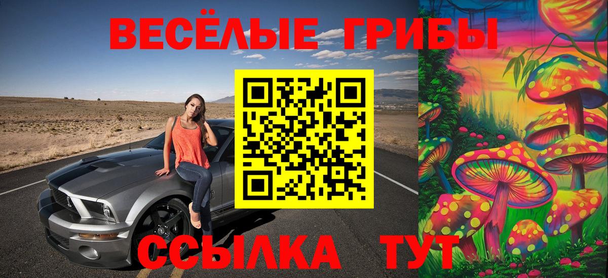 Заводоуковск  Галлюциногенные грибы Cubensis  Вход с VPN  Галлюциногенные грибы ЛСД 