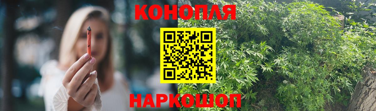 Конопля планчик Заводоуковск